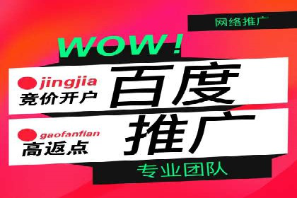 竞价广告赚钱：百度平台成功案例分析